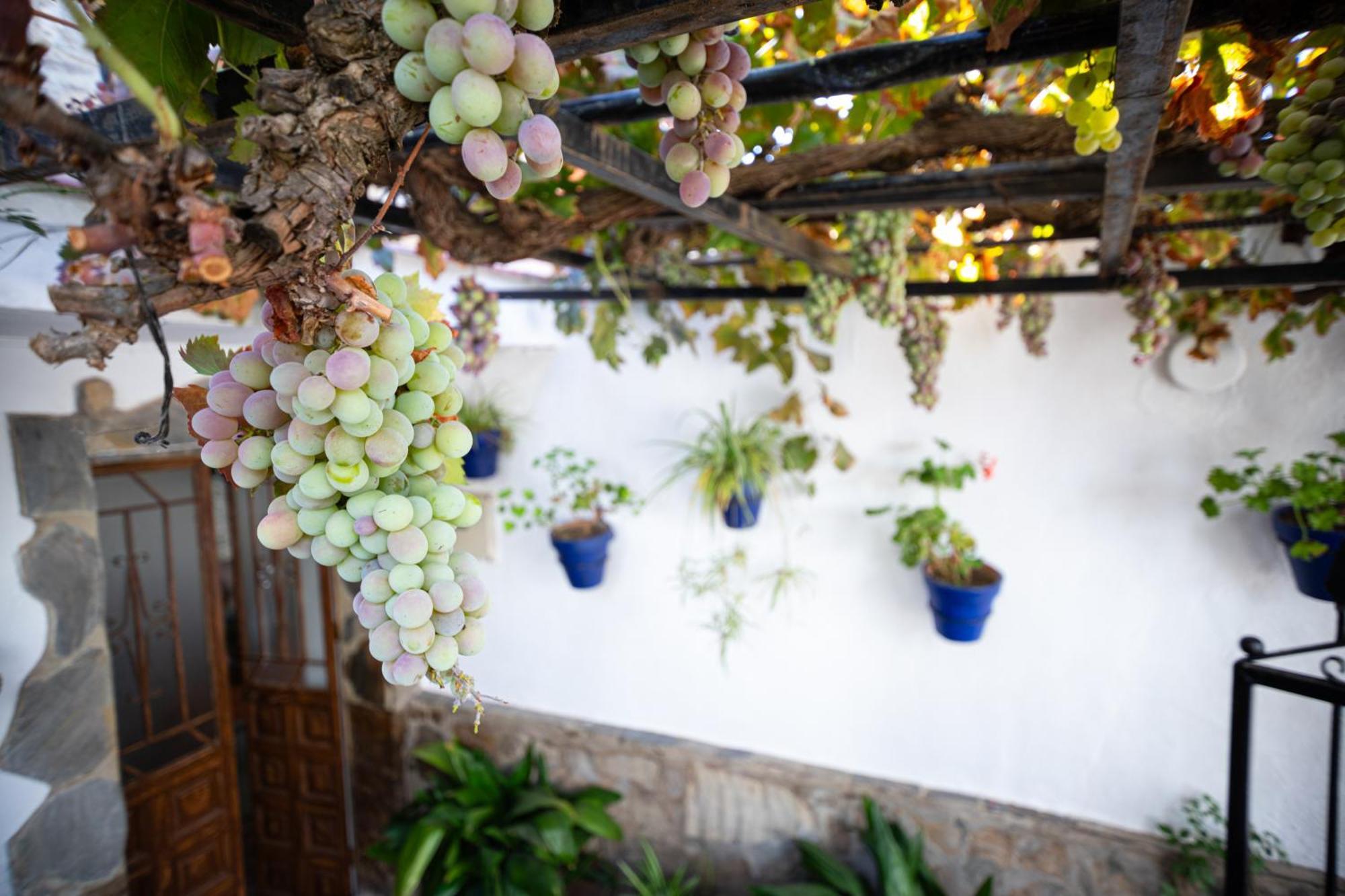 The Pava'S House Apartment Ronda Exterior photo