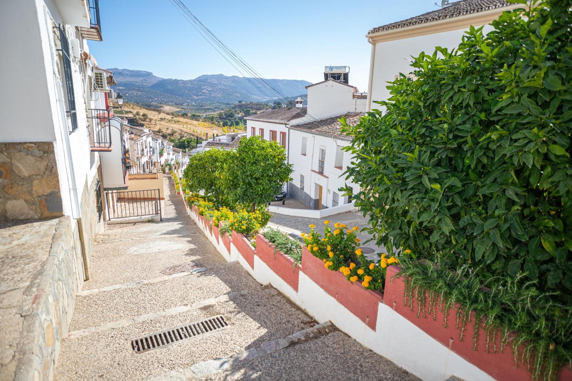 The Pava'S House Apartment Ronda Exterior photo